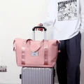 hong fu_pink_12.png