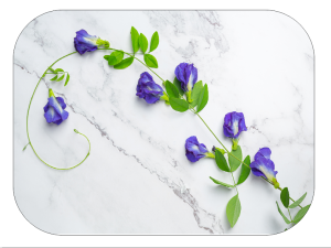 MATA STOŁOWA TWARDA MKr-79